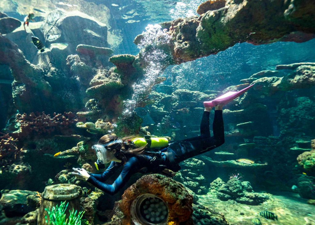 oxygen tank diving