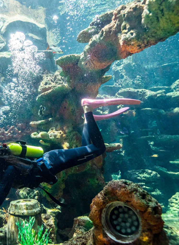 living diving