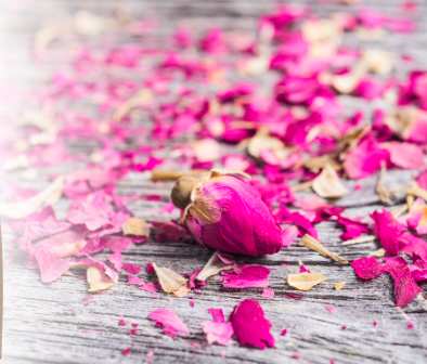 Food ingredient supplier