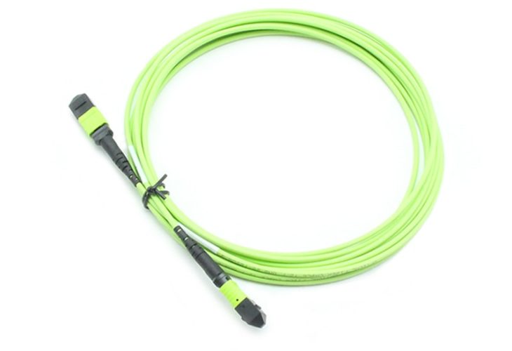 MTP Trunk Cable
